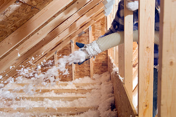 Best Batt and Roll Insulation  in Hawley, MN